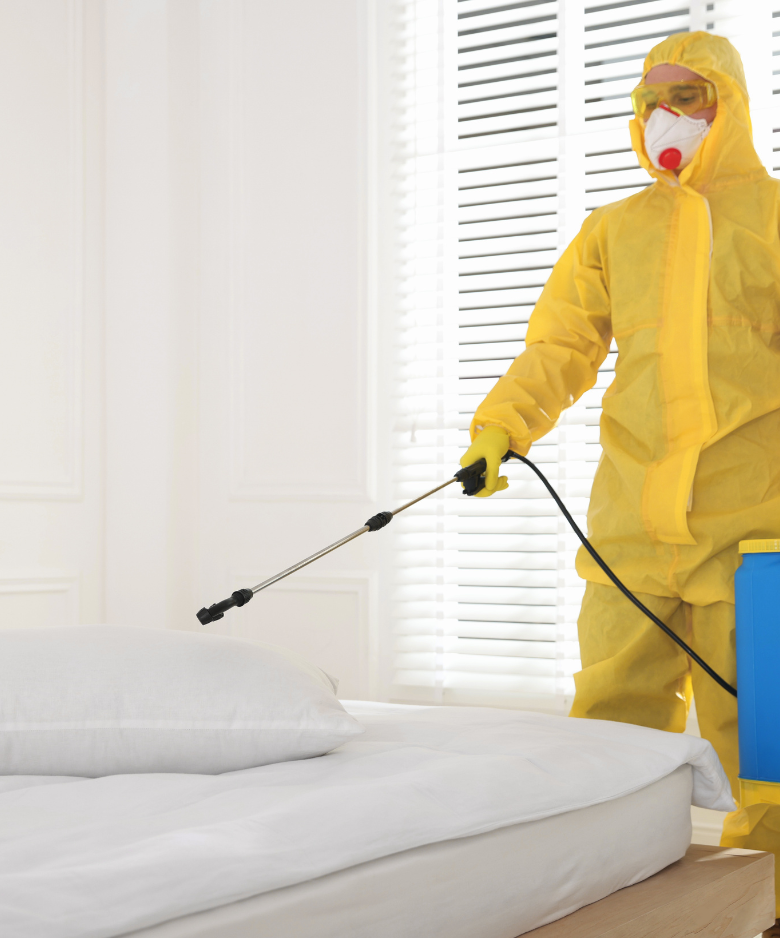 Professional Pest Control Team in Reid